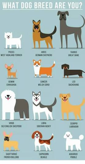 canin breed